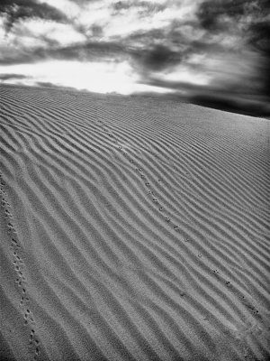 white-sands-textures-upload.jpg