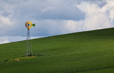 gold-windmill-upload.jpg