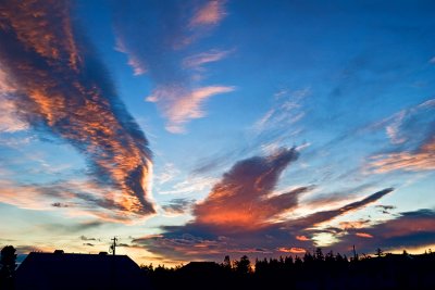 Backyard-sunrise-upload.jpg