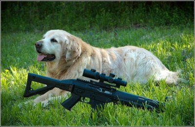 jake_sig556-0017_1.jpg