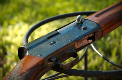 shotgun0001.jpg