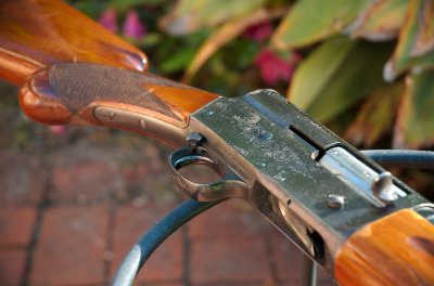 shotgun0003.jpg