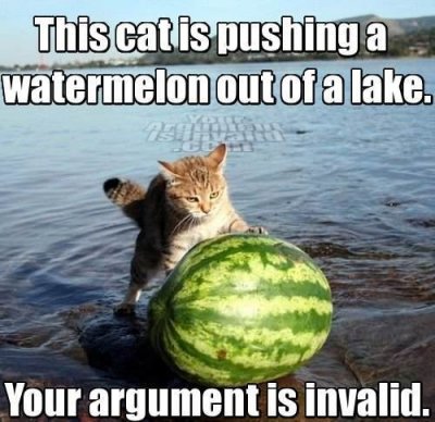 cat-watermelon-lake.jpg