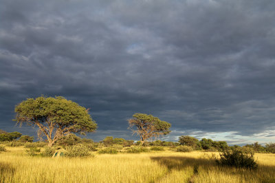 Campsite of Masetleng pan