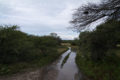 Waterways of the Central Kalahari