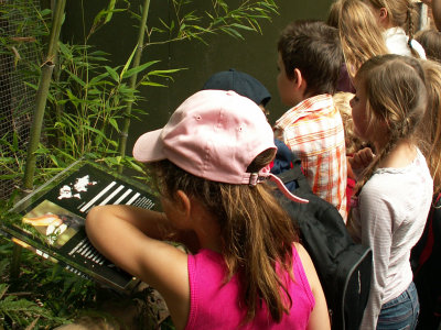 a school visit