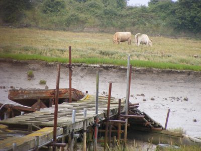 From the dock near the MonSTAR boat