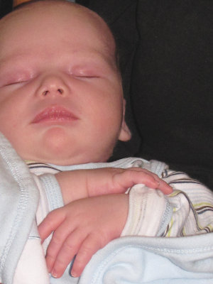 A short nap after lunch