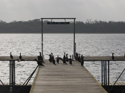 Lamanai:  waiting for the boat