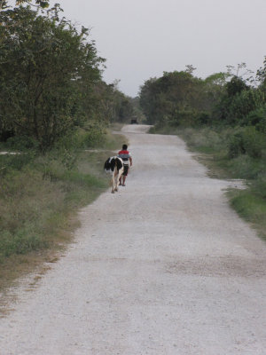 Lamanai