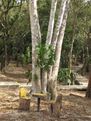 Lamanai