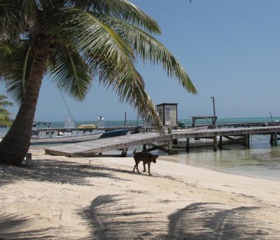 San Pedro