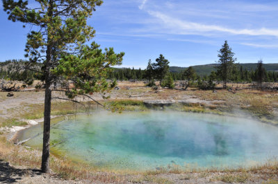 A Thermal Spring Yellowstone  _DSC8140.jpg