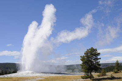 Old Faithful Yellowstone _DSC8218.jpg