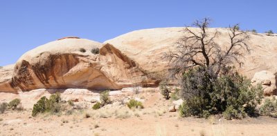 Navajo Sandstone _DSC3076.jpg