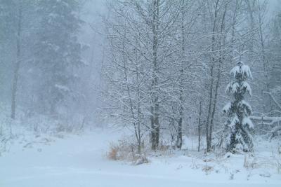 First Snowstorm of the Season DSCF0083.jpg