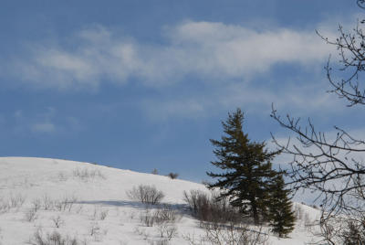 Mountain view from our driveway DSC_0035.jpg