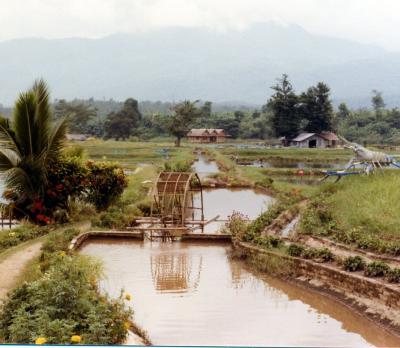 Landschaft in der Naehe von Chiang Mai Aug 1982.jpg