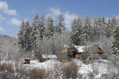 Home the day after the big spring snowfall _DSC0031.jpg