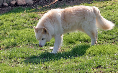 IMG_3962_20100411e.jpg