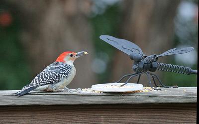 IMG_1268_20051127-2.jpg