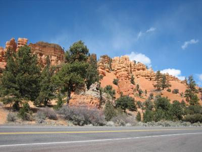 IMG_0381_1024.jpg