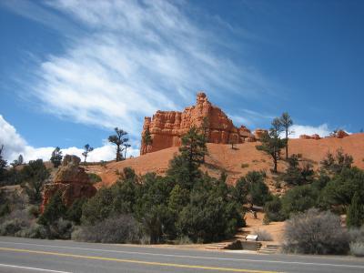 IMG_0382_1024.jpg