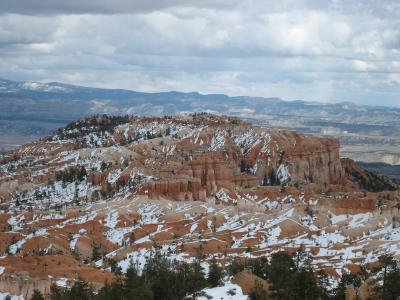 IMG_0388_1024.jpg