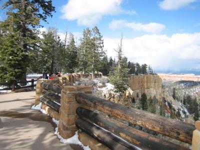 IMG_0421_1024.jpg