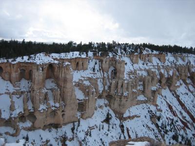 IMG_0432_1024.jpg
