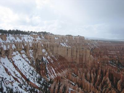 IMG_0437_1024.jpg