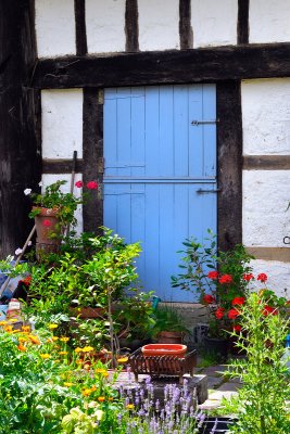 Blue door and flowers