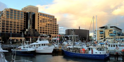 Fishing boats - Victoria Dock