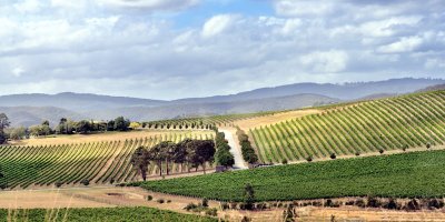 Yarra Valley Vineyards