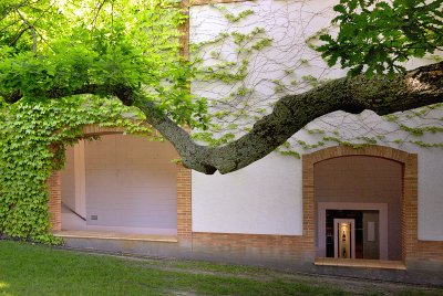 Branch & Arches