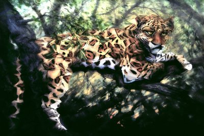 Leopard on branch ~