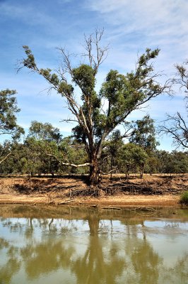 River bank