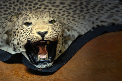 Leopard Rug ~
