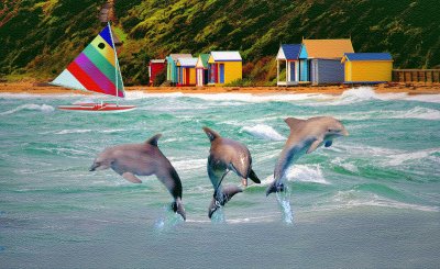 Dolphins at play ~