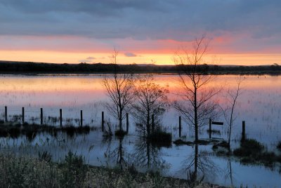 Floodwaters at dusk ~