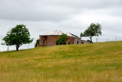 Old shack on the hill
