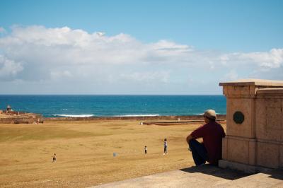 Kite Watching