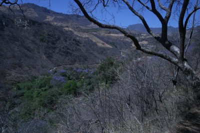 Agua Blanca, in Rio Tuxpan Canyon