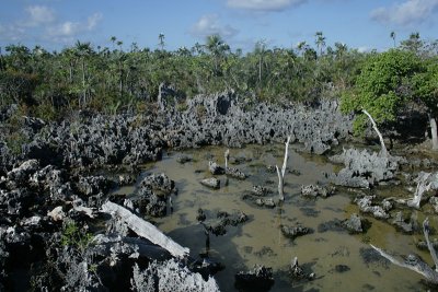 Karst limestone sinkhole, East Bluff