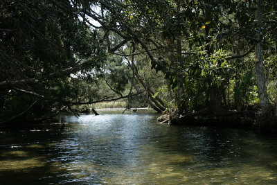 Baird's Creek, Chassahowitzka River