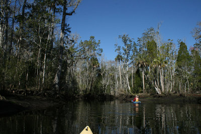 kayaking, Waccasassa River