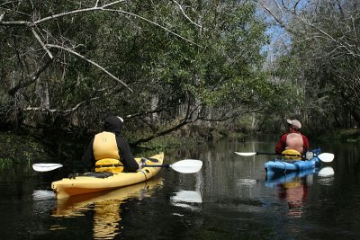 Brack and Buford, kayaking, Waccasassa River