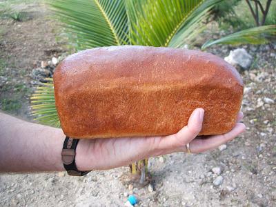 freshly baked loaf of  bread