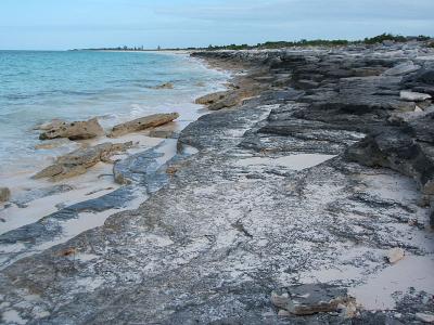 ironshore formation, Three Mary Cays