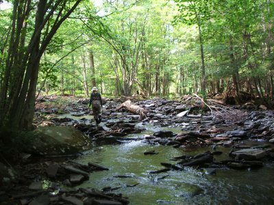 Johnson Creek, Pleasant Mount PA